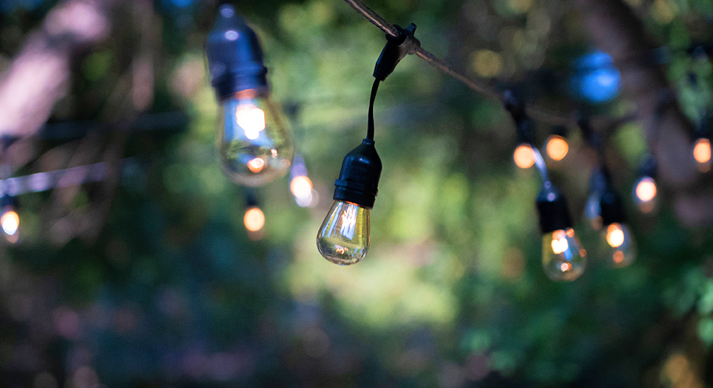 warm glowing stringer bulbs against a natural backdrop with a shallow depth of field
